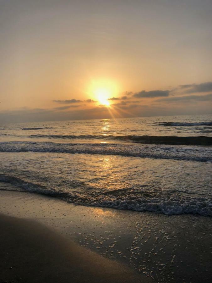 Vela Luxury Sea View Apartments - Marina Surf 那沃达利 外观 照片